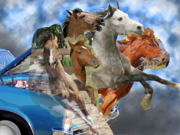 Creation of Real Horse Power ...: Step 3